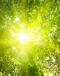 Curso de meditación y contacto interior para el bienestar