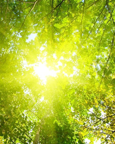 Curso de meditación y contacto interior para el bienestar
